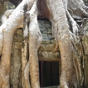 Explore Cambodian Traveller for 9 days with Intrepid Travel and discover unforgettable experiences - Photo 4