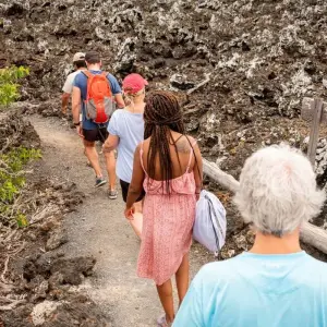 Explore Galapagos Discovery for 9 days with Intrepid Travel and discover unforgettable experiences - Photo 3
