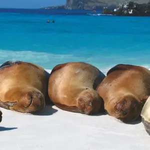 Explore Galapagos Discovery for 9 days with Intrepid Travel and discover unforgettable experiences - Photo 4