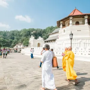 Explore Classic Sri Lanka (5 destinations) for 8 days with Intrepid Travel and discover unforgettable experiences - Photo 5