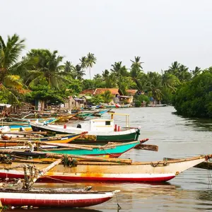 Explore Classic Sri Lanka (5 destinations) for 8 days with Intrepid Travel and discover unforgettable experiences - Photo 9