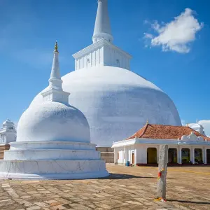 Explore Classic Sri Lanka (5 destinations) for 8 days with Intrepid Travel and discover unforgettable experiences - Photo 10