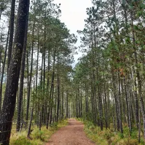 Explore Marvels of Llano Grande & Cuajimoloyas 3D/2N for 3 days with Bamba Travel and discover unforgettable experiences - Photo 4