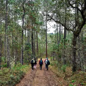 Explore Marvels of Llano Grande & Cuajimoloyas 3D/2N for 3 days with Bamba Travel and discover unforgettable experiences - Photo 5