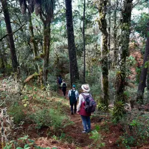 Explore Marvels of Llano Grande & Cuajimoloyas 3D/2N for 3 days with Bamba Travel and discover unforgettable experiences - Photo 7