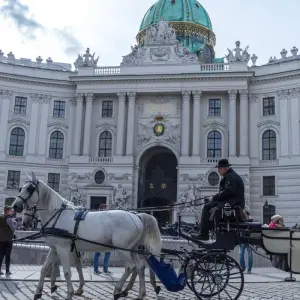 Explore Budapest & Vienna for 4 days with Euroadventures and discover unforgettable experiences - Photo 8