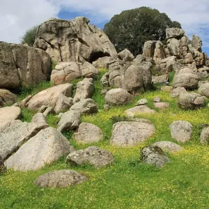 Explore Get to Know Corsica for 8 days with Gebeco and discover unforgettable experiences - Photo 2