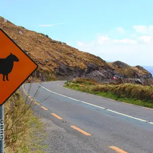 Explore Get to Know Ireland for 8 days with Gebeco and discover unforgettable experiences - Photo 3