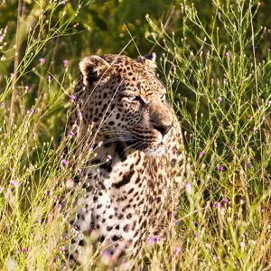 Explore South Africa from the Kruger Park to the Garden Route for 13 days with Gebeco and discover unforgettable experiences - Photo 3