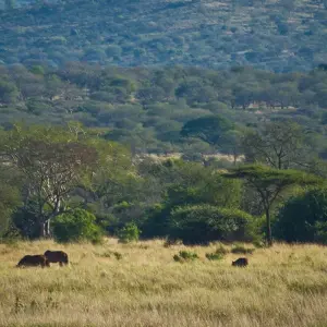 Explore South Africa and Mauritius for 17 days with Gebeco and discover unforgettable experiences - Photo 3