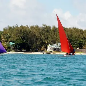 Explore South Africa and Mauritius for 17 days with Gebeco and discover unforgettable experiences - Photo 4