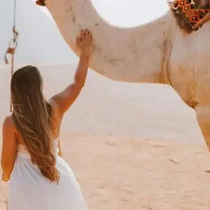 Explore Magical Egypt Pyramids and Red Sea Sharm El Sheikh - 8 Days for 8 days with Holiday In and discover unforgettable experiences - Photo 9