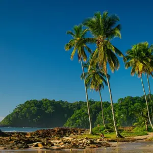 Explore Islands, Hidden Beaches and the Cocoa Coast of Bahia for 11 days with ETours Brazil DMC and discover unforgettable experiences - Photo 4