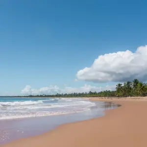 Explore Islands, Hidden Beaches and the Cocoa Coast of Bahia for 11 days with ETours Brazil DMC and discover unforgettable experiences - Photo 6