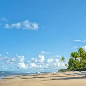 Explore Islands, Hidden Beaches and the Cocoa Coast of Bahia for 11 days with ETours Brazil DMC and discover unforgettable experiences - Photo 7