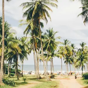 Explore Islands, Hidden Beaches and the Cocoa Coast of Bahia for 11 days with ETours Brazil DMC and discover unforgettable experiences - Photo 9