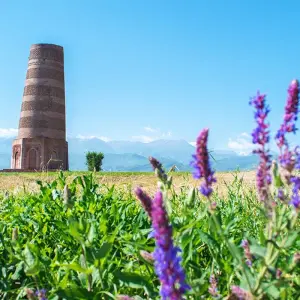 Explore Uzbekistan and Kyrgyzstan - on the Trail of ancient caravans for 16 days with Gebeco and discover unforgettable experiences - Photo 4