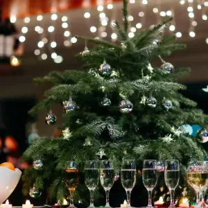 Explore Christmas and New Year Rhine cruise: Dusseldorf - Dusseldorf - MS Crucevita 4*sup for 8 days with Crucemundo  and discover unforgettable experiences - Photo 9