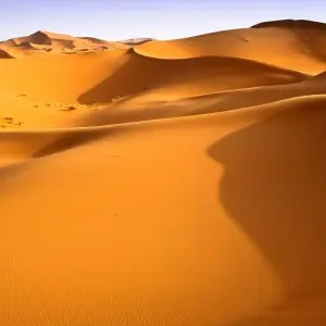 Explore Sahara and High Atlas, Private tour for 6 days with Destination Services Morocco and discover unforgettable experiences - Photo 3