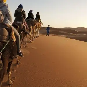Explore Oasis & Desert, 4 days, Private tour for 4 days with Destination Services Morocco and discover unforgettable experiences - Photo 11