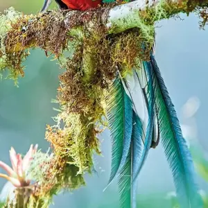 Explore Costa Rica - Off the beaten track for 9 days with DERTOUR and discover unforgettable experiences - Photo 3