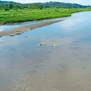 Explore Costa Rica - Off the beaten track for 9 days with DERTOUR and discover unforgettable experiences - Photo 4