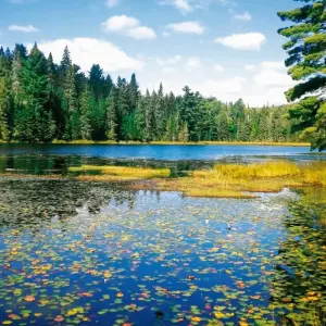 Explore On the trail of the moose for 15 days with DERTOUR and discover unforgettable experiences - Photo 2