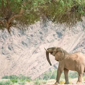 Explore Namibia for connoisseurs for 16 days with DERTOUR and discover unforgettable experiences - Photo 5