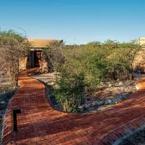 Explore Namibia for connoisseurs for 16 days with DERTOUR and discover unforgettable experiences - Photo 9