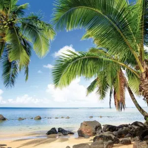 Explore The Best of the West & Island Magic Hawaii - Maui (20 nights) for 21 days with DERTOUR and discover unforgettable experiences - Photo 4