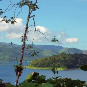 Explore Adventure between volcano and rainforest (last night in San Jose) for 15 days with DERTOUR and discover unforgettable experiences - Photo 6