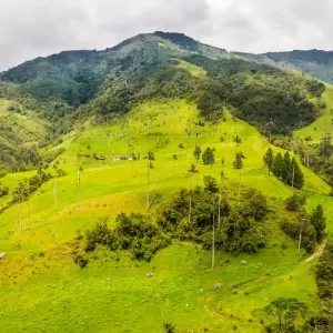 Explore The Great Colombia Trip for 20 days with Gebeco and discover unforgettable experiences - Photo 7