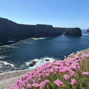 Explore The Wild Atlantic Way Tour Ireland for 7 days with Hilltoptreks and discover unforgettable experiences - Photo 3
