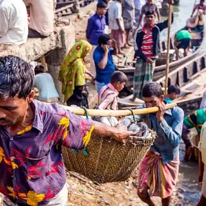 Explore 12 Days Private Bangladesh Tour, Daily Start & Exclusive Guide and Car for 12 days with Agate Travel and discover unforgettable experiences - Photo 5