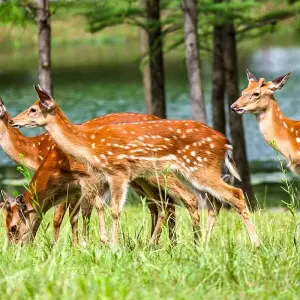 Explore 6 Days Customized Private Bangladesh Sundarbans Safari Tour for 6 days with Agate Travel and discover unforgettable experiences - Photo 4