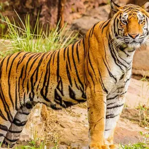 Explore 6 Days Customized Private Bangladesh Sundarbans Safari Tour for 6 days with Agate Travel and discover unforgettable experiences - Photo 6