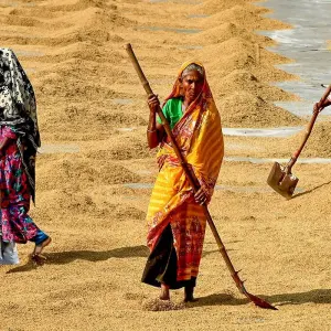 Explore 6 Days Customized Private Bangladesh Sundarbans Safari Tour for 6 days with Agate Travel and discover unforgettable experiences - Photo 8