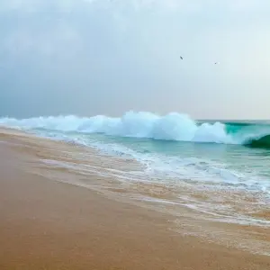 Explore Trivandrum & Kovalam Highlights: Private Day Tour for 1 days with Agora Voyages OPC Pvt Ltd and discover unforgettable experiences - Photo 5