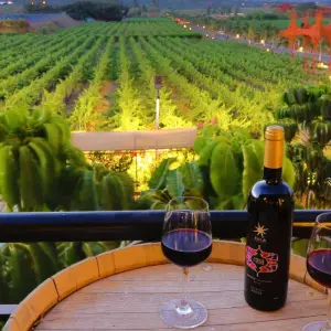 Explore Mumbai to Nashik: Temples, Vineyards, and Scenic Trails for 3 days with Agora Voyages OPC Pvt Ltd and discover unforgettable experiences - Photo 3