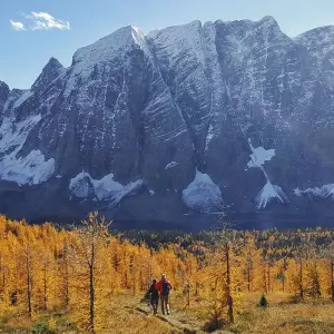 Explore Rockies Premium Spring & Fall Tour for 5 days with Discover Canada Tours and discover unforgettable experiences - Photo 8