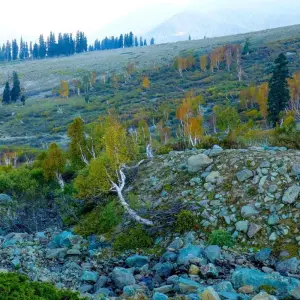 Explore Kashmir The Paradise on Earth Tour for 7 days with Agora Voyages OPC Pvt Ltd and discover unforgettable experiences - Photo 2