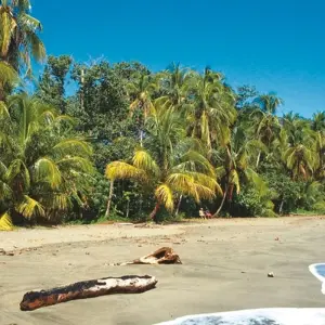 Explore Adventure between volcano and rainforest (last night in San Jose) for 15 days with DERTOUR and discover unforgettable experiences - Photo 3