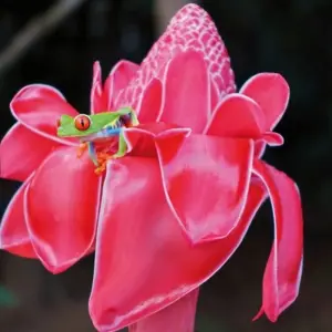 Explore Mysterious Costa Rica: volcanoes and rainforest for 7 days with DERTOUR and discover unforgettable experiences - Photo 4