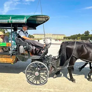 Explore Private Austria Tour to Vienna & Salzburg, Daily Departure for 4 days with Agate Travel and discover unforgettable experiences - Photo 8