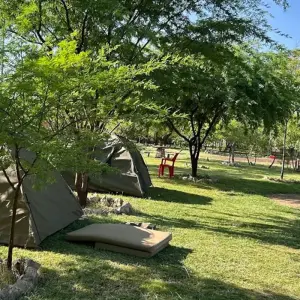Explore Discover the World’s 6-Day Tanzania Safari: The Latest Safari in Tanzania for 2025 and 2026 for 6 days with Africa Natural Tours and discover unforgettable experiences - Photo 4