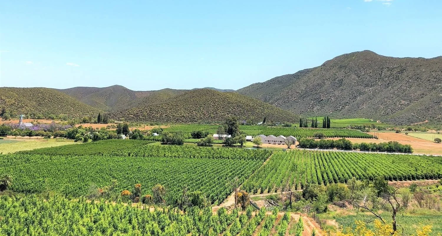 4-day Highlights of the Garden Route (Accommodated) - 4 days with Acacia Adventure Holidays - Photo 2 Explore 4-day Highlights of the Garden Route (Accommodated) for 4 days with Acacia Adventure Holidays and discover unforgettable experiences - Photo 2