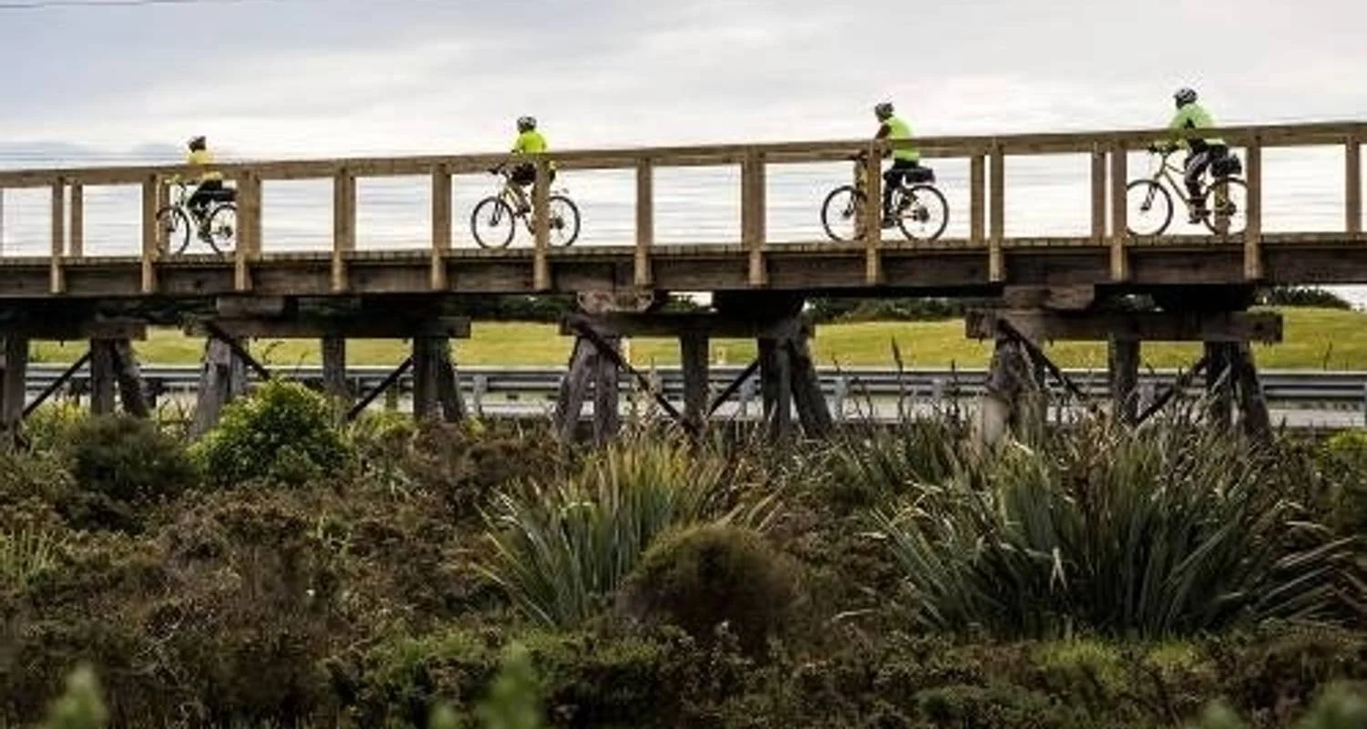 West Coast Wilderness Cycle Trail - 5 days with Adventure South - Photo 2 Explore West Coast Wilderness Cycle Trail for 5 days with Adventure South and discover unforgettable experiences - Photo 2