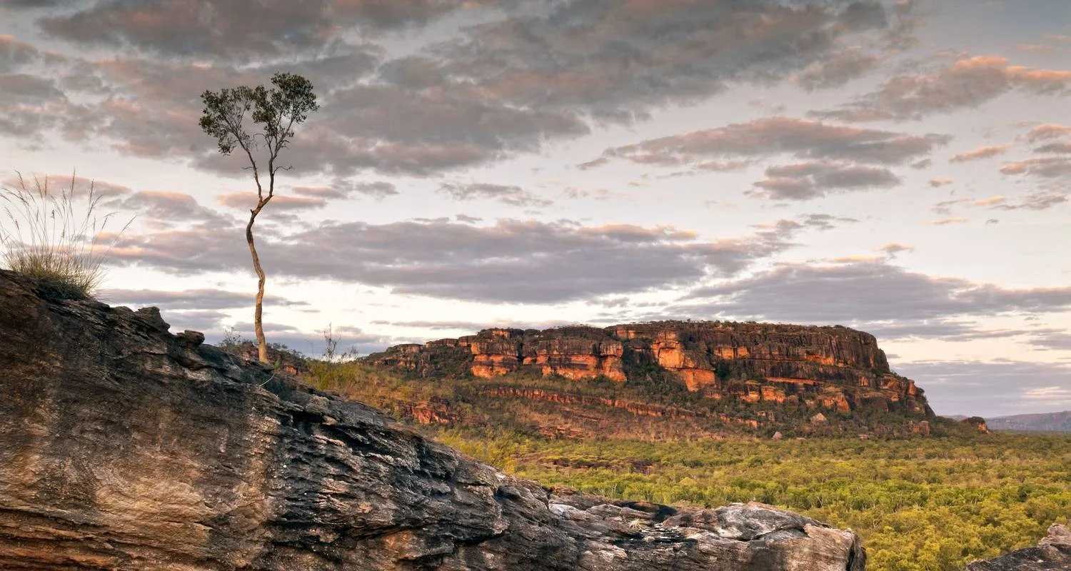 Darwin Getaway with Kakadu & More - 8 days with Australia and New Zealand Travel Company - Photo 2 Explore Darwin Getaway with Kakadu & More for 8 days with Australia and New Zealand Travel Company and discover unforgettable experiences - Photo 2