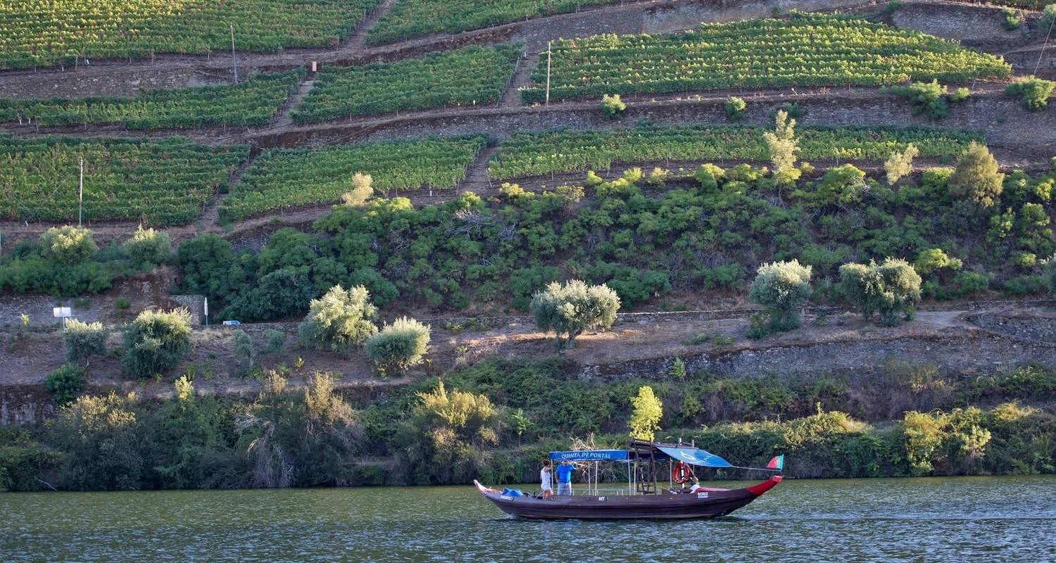 Douro Valley self-guided bike tour - 8 days with Authentic Trails - Photo 2 Explore Douro Valley self-guided bike tour for 8 days with Authentic Trails and discover unforgettable experiences - Photo 2
