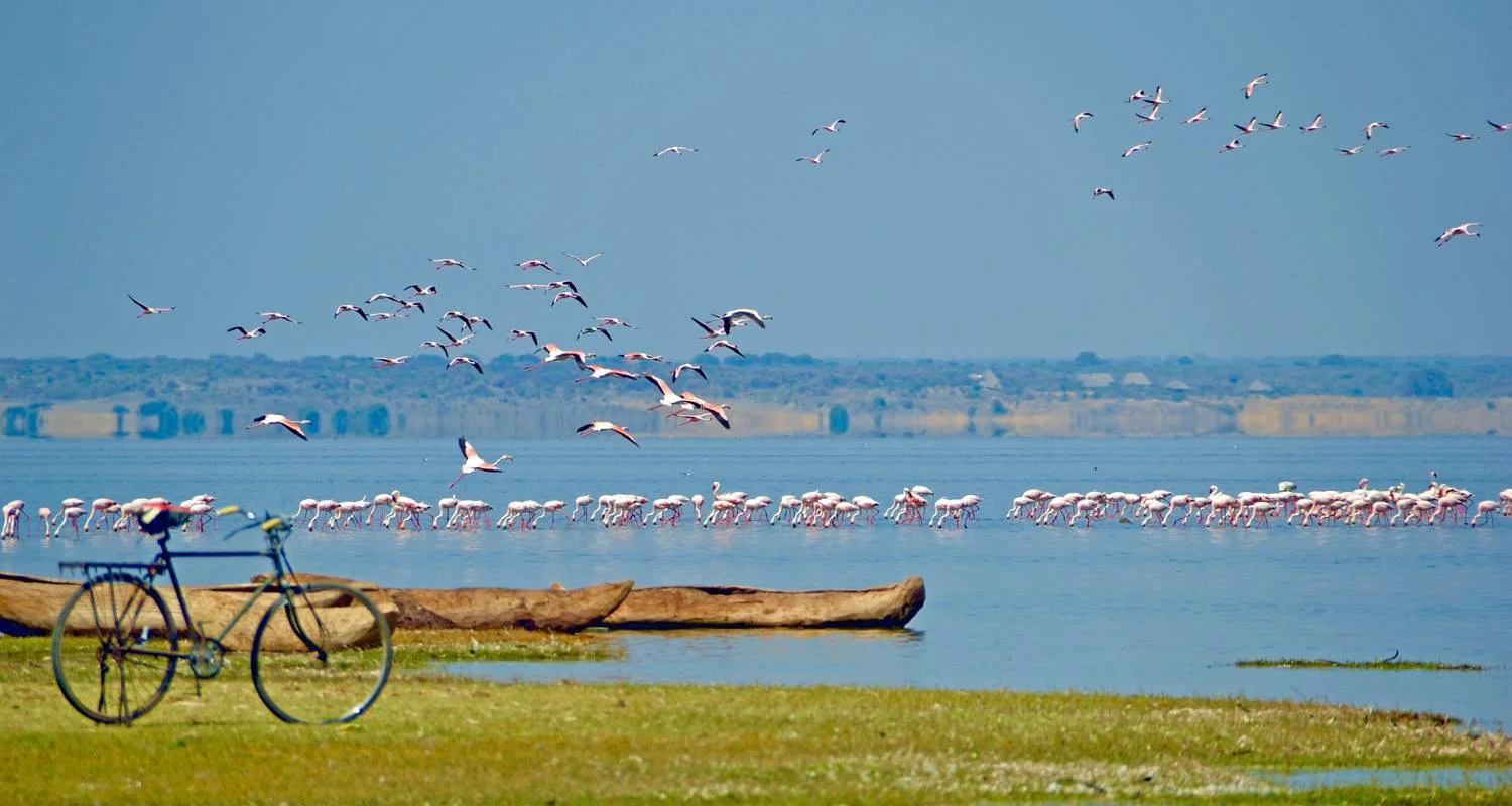 From Arusha 3 Days Tanzanian Flamingo Safari: Tarangire to Magical Lake Natron - 3 days with Beach and Safari Holidays - Photo 2 Explore From Arusha 3 Days Tanzanian Flamingo Safari: Tarangire to Magical Lake Natron for 3 days with Beach and Safari Holidays and discover unforgettable experiences - Photo 2
